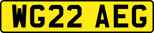 WG22AEG