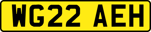 WG22AEH