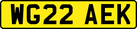 WG22AEK