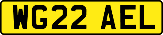 WG22AEL