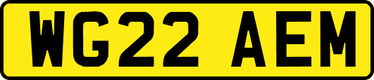 WG22AEM