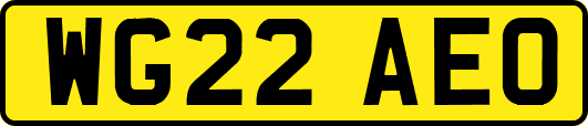 WG22AEO