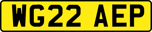 WG22AEP