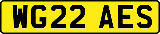 WG22AES