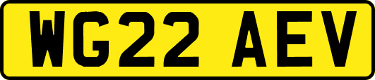 WG22AEV