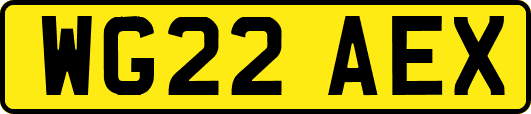 WG22AEX