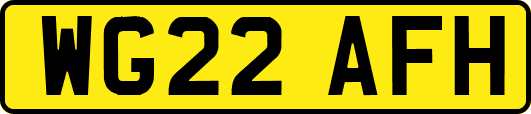 WG22AFH