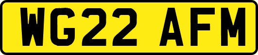 WG22AFM