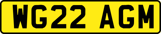 WG22AGM