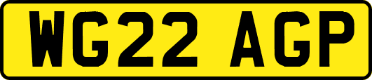 WG22AGP