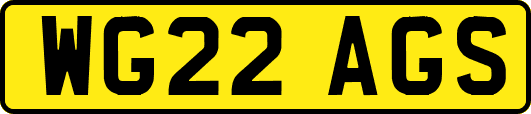 WG22AGS