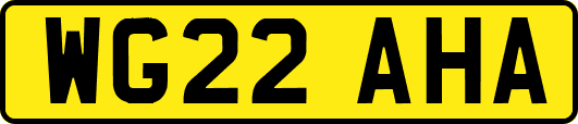 WG22AHA
