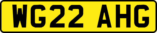 WG22AHG