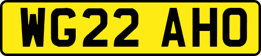 WG22AHO