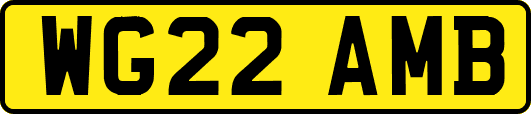 WG22AMB