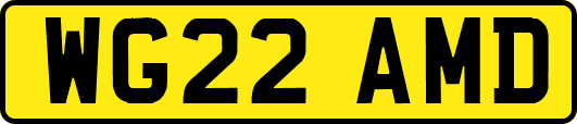 WG22AMD