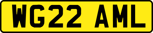 WG22AML