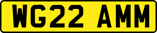 WG22AMM