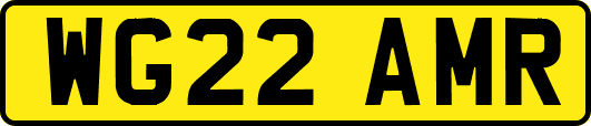 WG22AMR