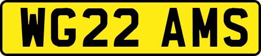 WG22AMS