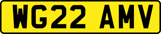 WG22AMV