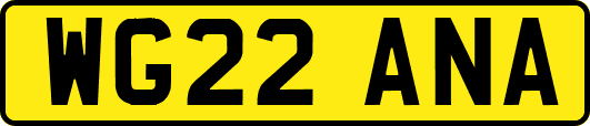 WG22ANA