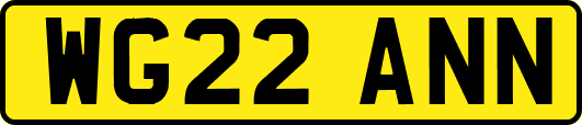 WG22ANN