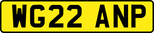 WG22ANP
