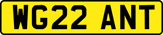 WG22ANT