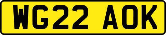 WG22AOK