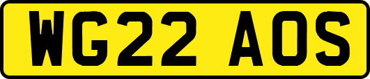 WG22AOS