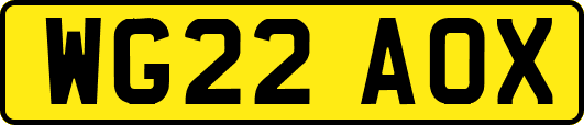WG22AOX