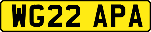 WG22APA