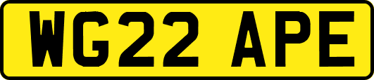 WG22APE