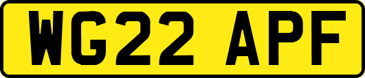 WG22APF