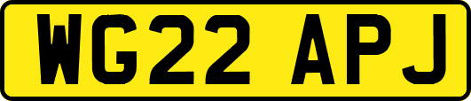WG22APJ