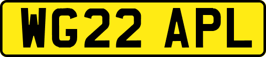 WG22APL