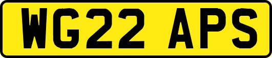 WG22APS