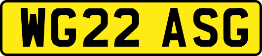 WG22ASG