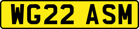 WG22ASM