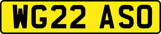 WG22ASO