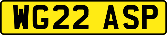 WG22ASP