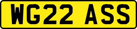 WG22ASS