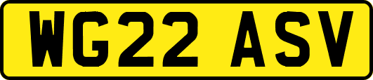 WG22ASV