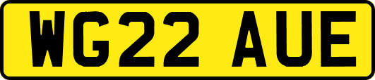 WG22AUE