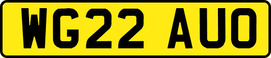 WG22AUO