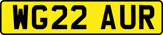 WG22AUR