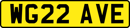 WG22AVE