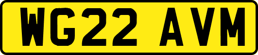 WG22AVM