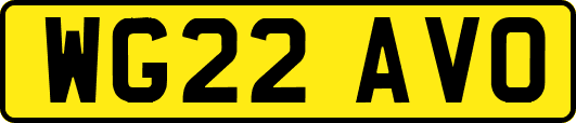 WG22AVO